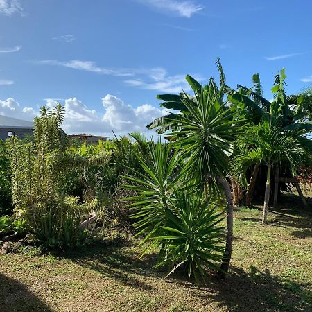 Gite Face A La Mer Des Caraibes Sainte-Rose Buitenkant foto