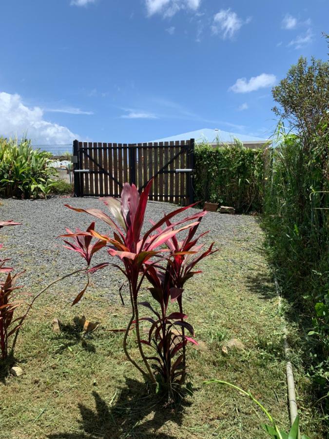 Gite Face A La Mer Des Caraibes Sainte-Rose Buitenkant foto